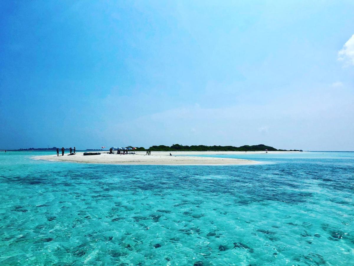 Royal Reef Мативери