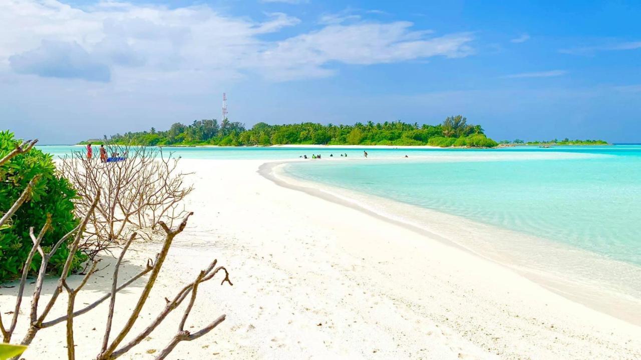 Royal Reef *