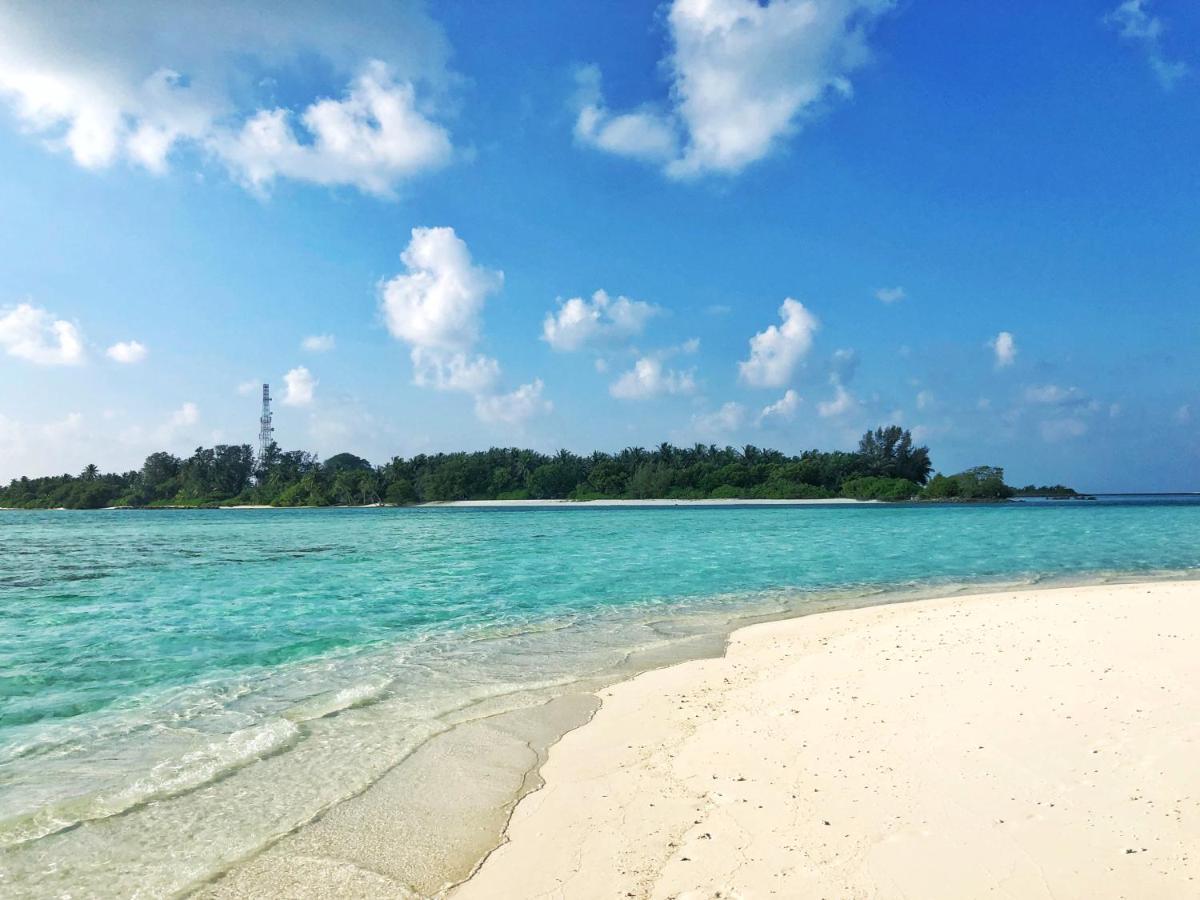 Royal Reef * Мативери