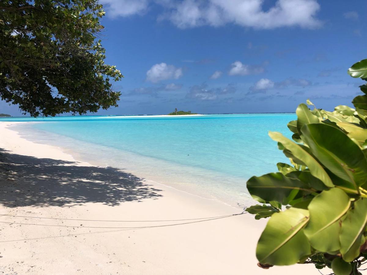 Royal Reef * Мативери