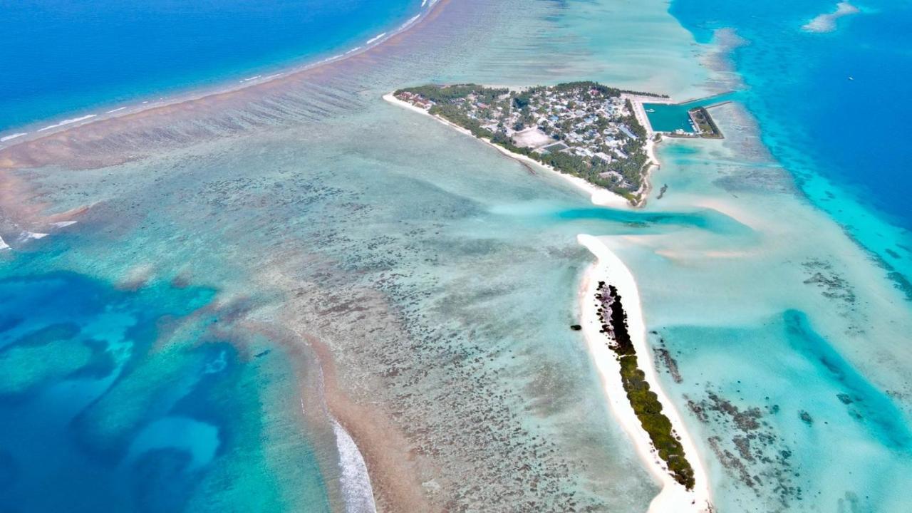 Royal Reef