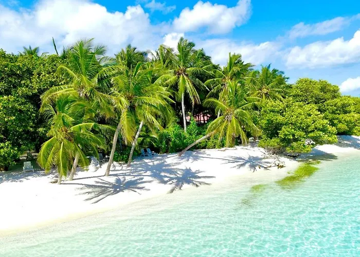 Royal Reef Stay
