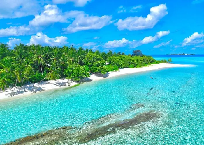 Royal Reef Stay