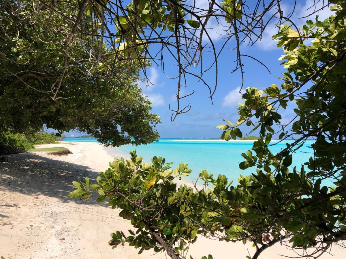 Royal Reef Pensiune Mathiveri
