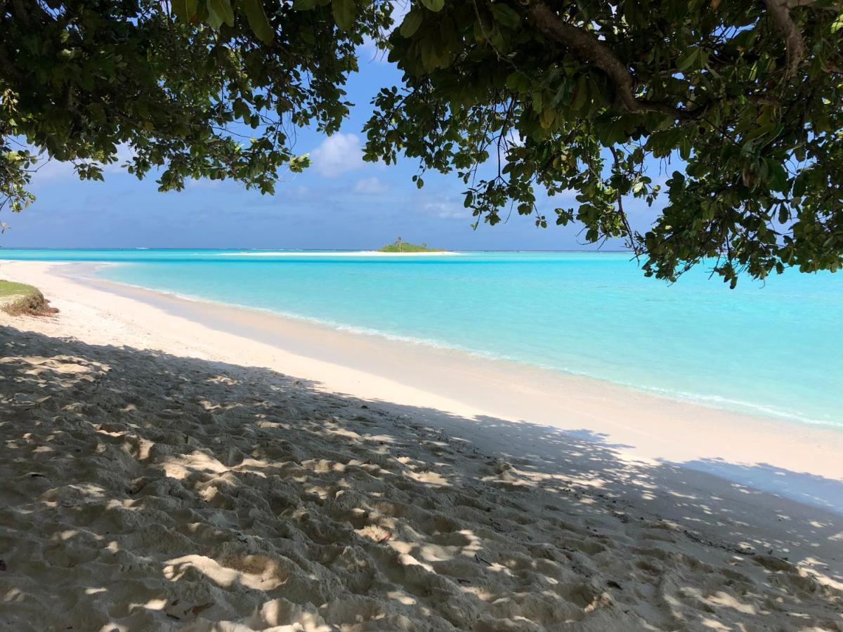 Pensiune Royal Reef *