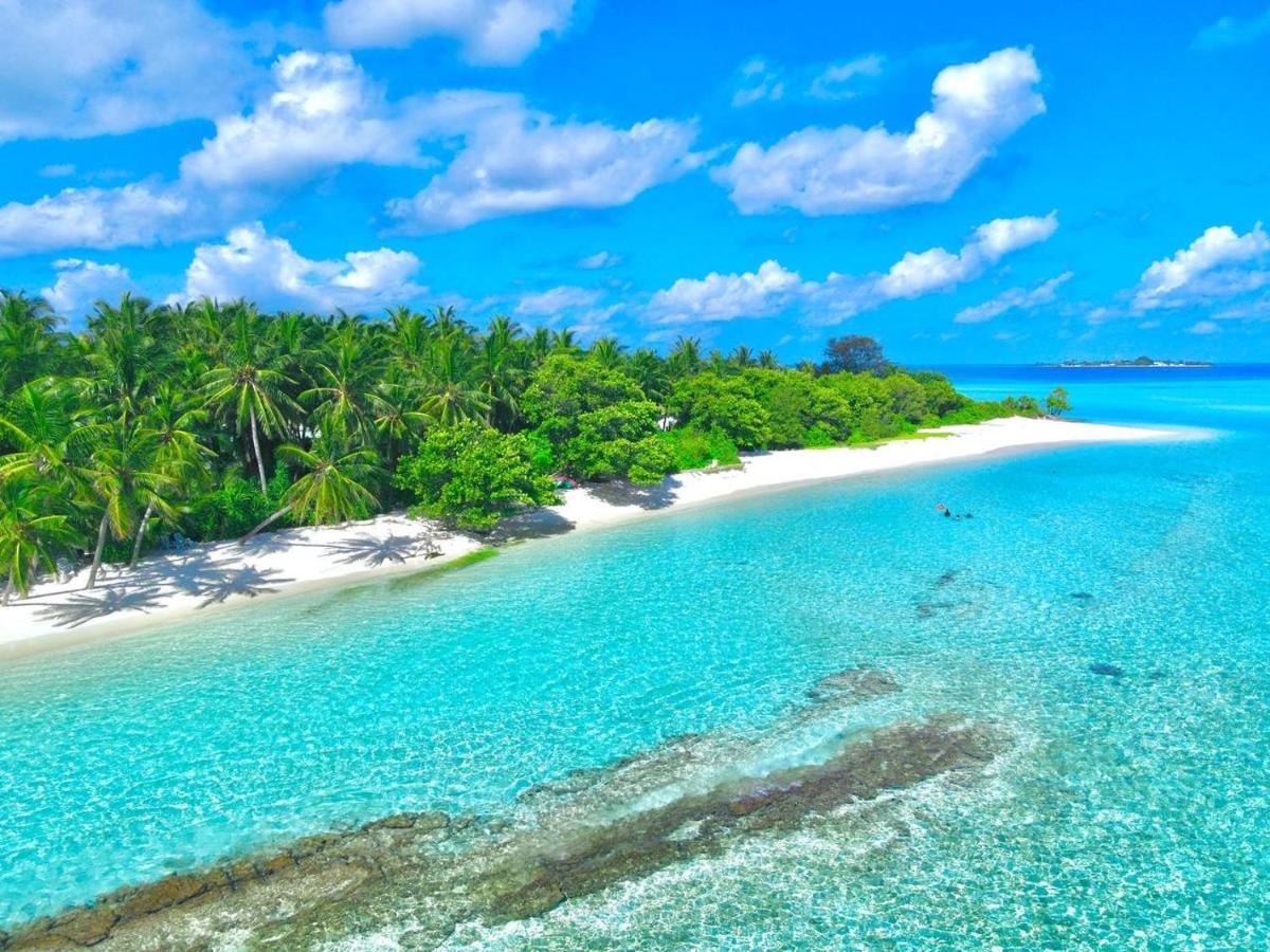 Pensiune Royal Reef